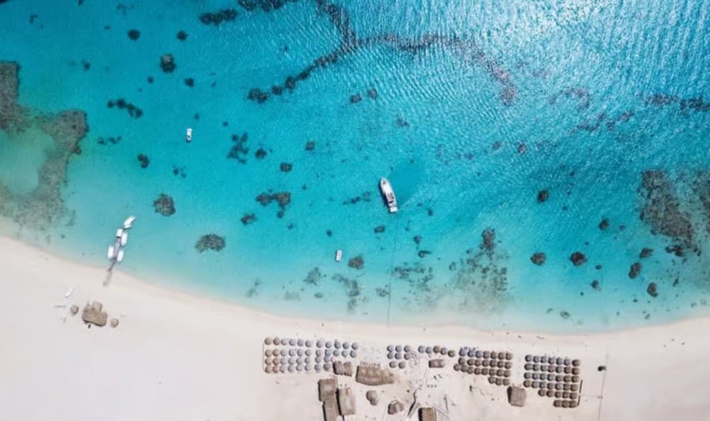 Hurghada: Giftun Island Orange Bay Speedboat Cruise & Lunch | ®ExcursionMania - Image 10