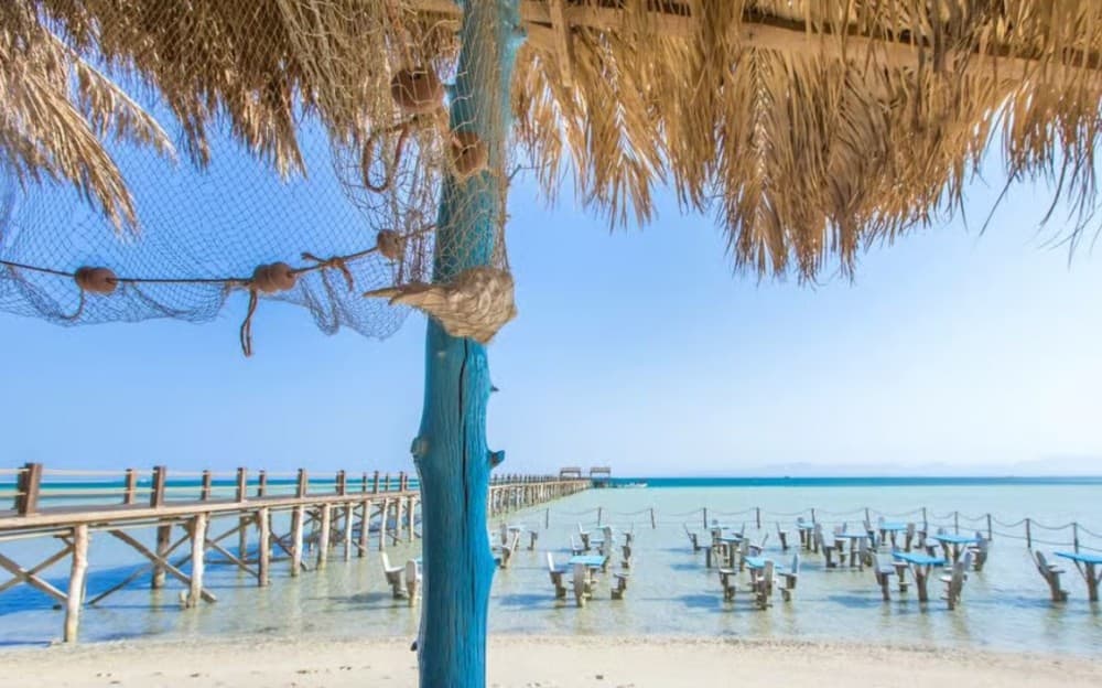 Hurghada: Giftun Island Orange Bay Speedboat Cruise & Lunch | ®ExcursionMania - Image 11