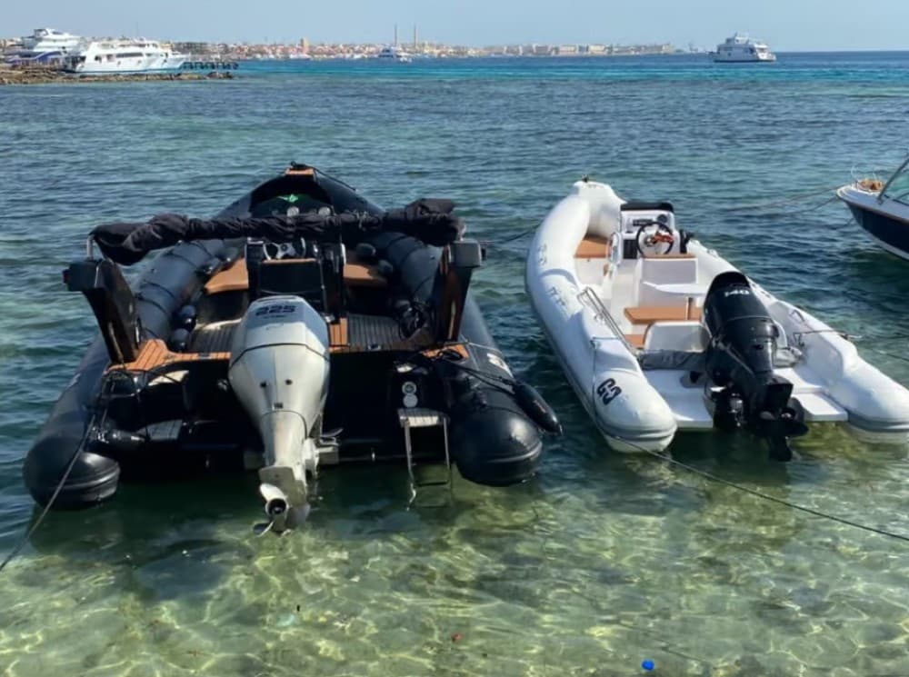 Hurghada: Snorkelling Trip by Speedboat with Hotel Pickup | ®ExcursionMania - Image 9