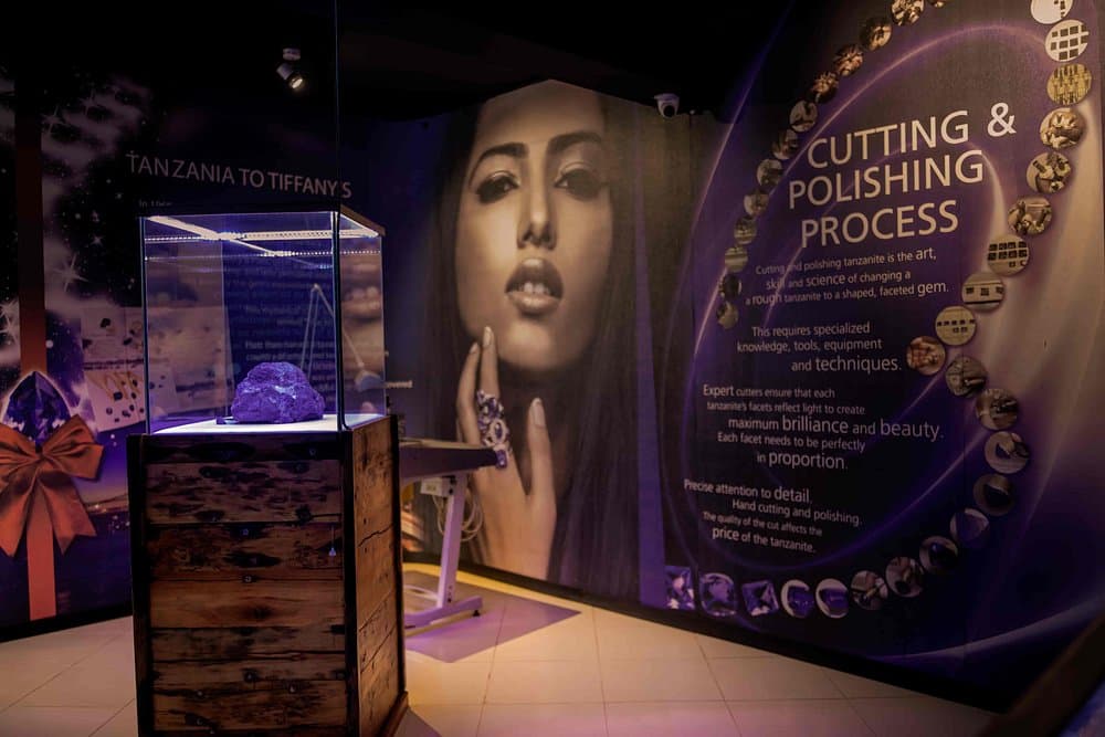 Arusha Shopping Tour | ®ExcursionMania - Image 5