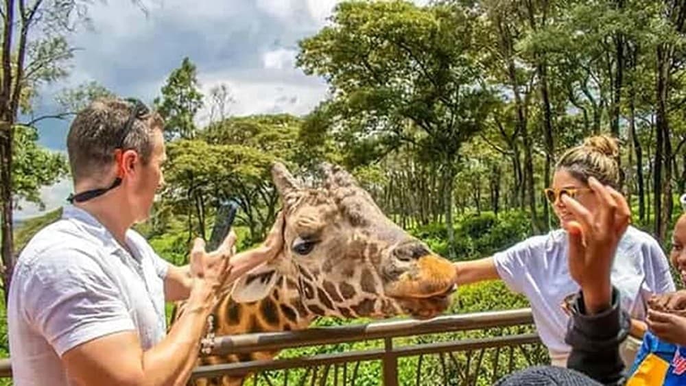 Nairobi:Giraffes Feeding Experience At Giraffes Centre And Kibera Slum | ®ExcursionMania - Image 12