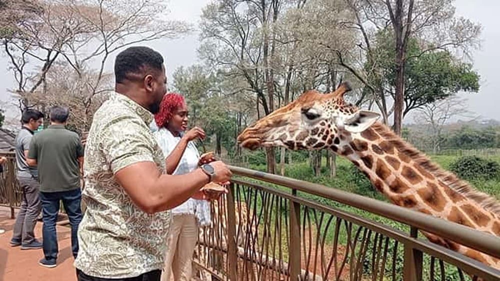 Nairobi: Guided Giraffe Center Experience And Nature Trail Tour | ®ExcursionMania - Image 7