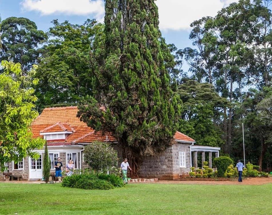 Nairobi: Guided Excursion To Karen Blixen Museum And Giraffe Center | ®ExcursionMania - Image 12