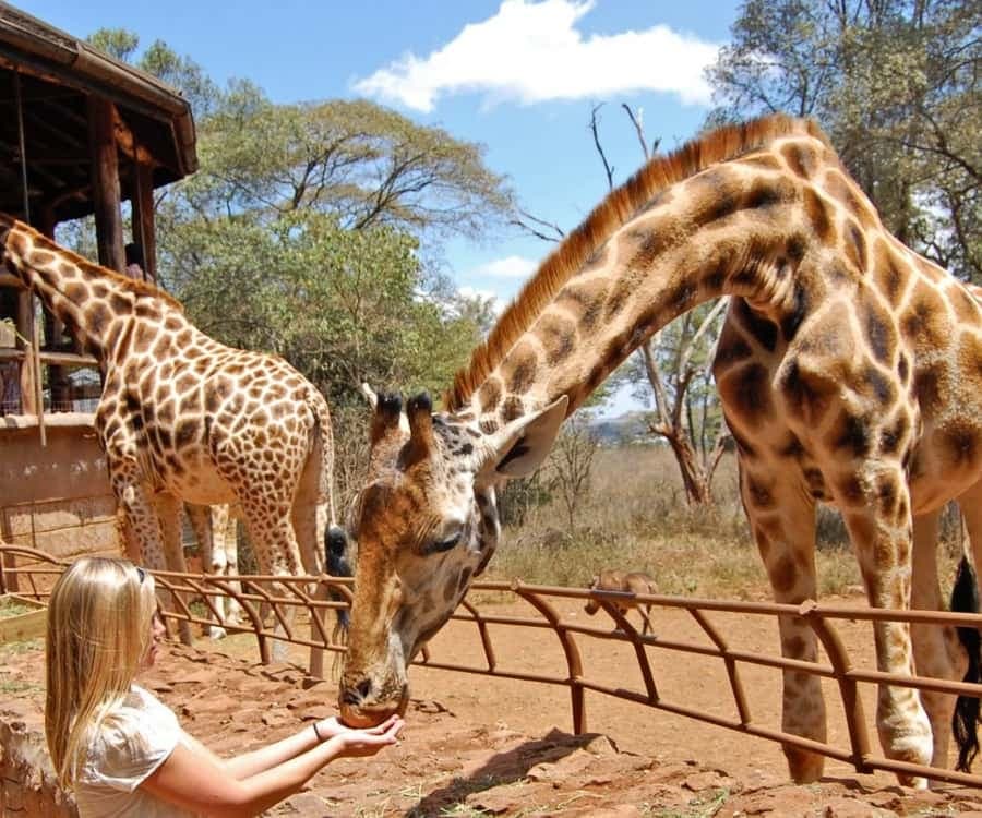 Nairobi: Airport Stopover And Layover Sightseeing Guided Tour | ®ExcursionMania - Image 1