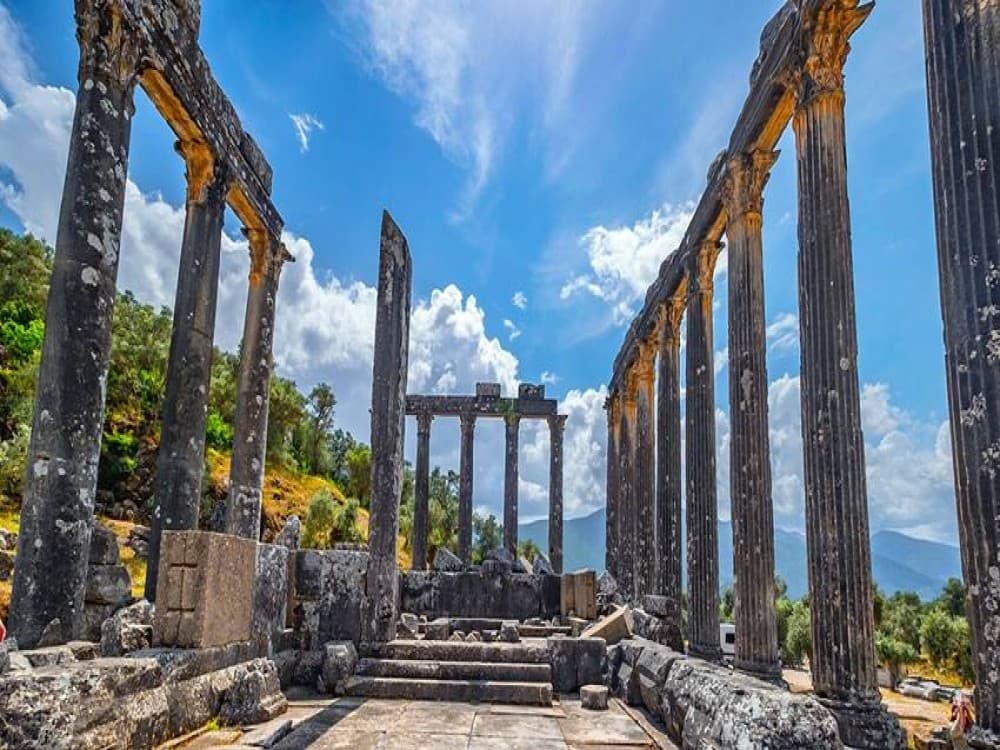 From Kusadasi: Priene Miletos Didyma Tour | ®ExcursionMania - Image 9