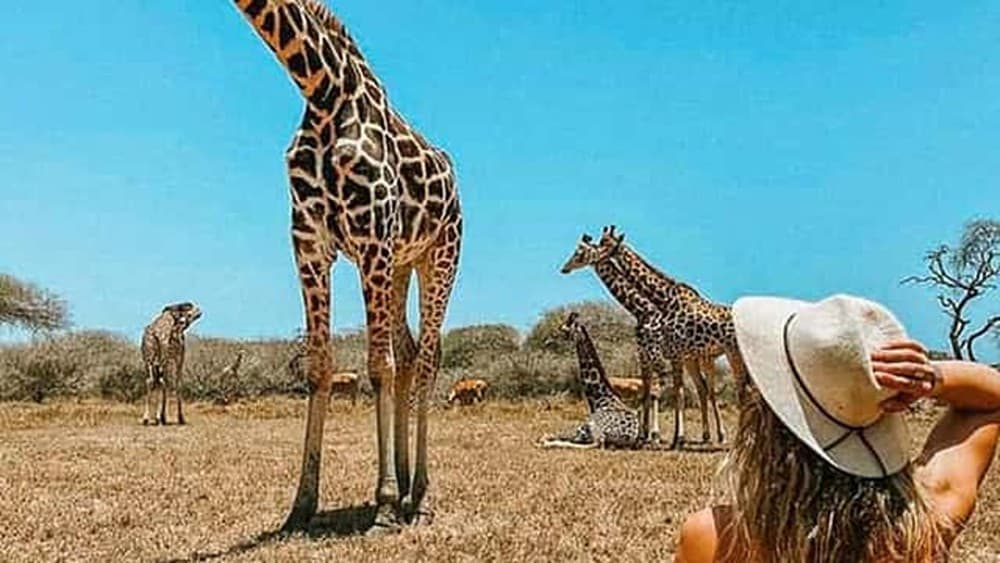 Shore Excursion Tour In Mombasa For Mombasa Cruise Passengers | ®ExcursionMania - Image 2