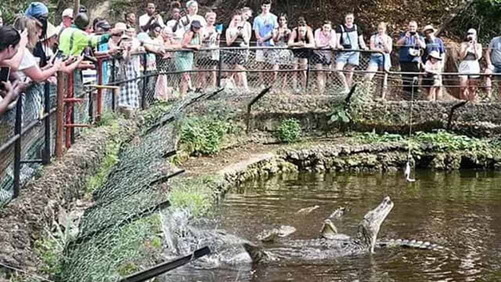 Shore Excursion Tour In Mombasa For Mombasa Cruise Passengers | ®ExcursionMania - Image 6