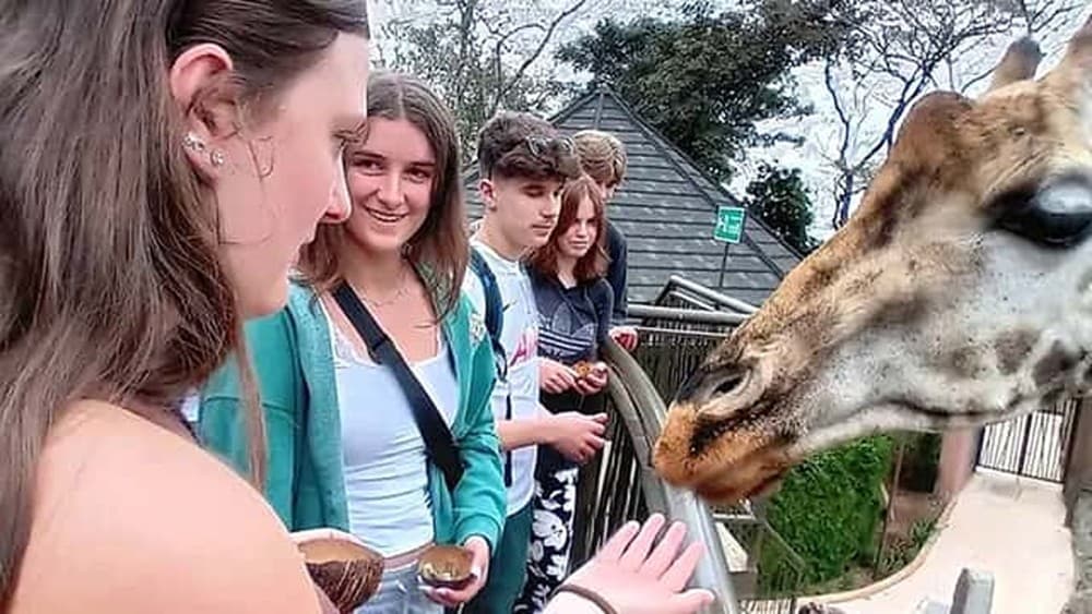 Mombasa: Guided Nature Walk Amongst Giraffes At Nguuni Sanctuary | ®ExcursionMania - Image 6