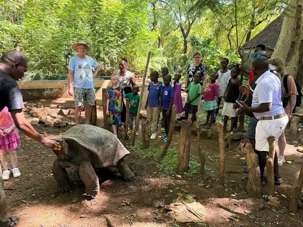 Mombasa: Nguuni Nature Sanctuary Guided Giraffe Feeding Excursion | ®ExcursionMania - Image 1