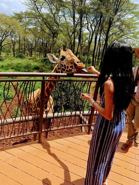 Mombasa: Nguuni Nature Sanctuary Guided Giraffe Feeding Excursion | ®ExcursionMania - Image 9