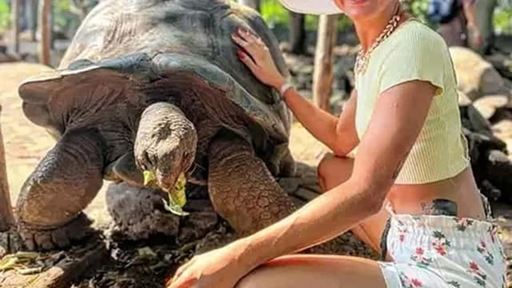 Malindi: Experience The Majestic Falconry Of Kenya | ®ExcursionMania - Image 3