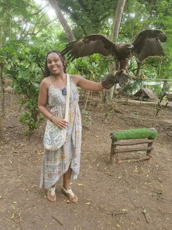 Malindi: Experience The Majestic Falconry Of Kenya | ®ExcursionMania - Image 8