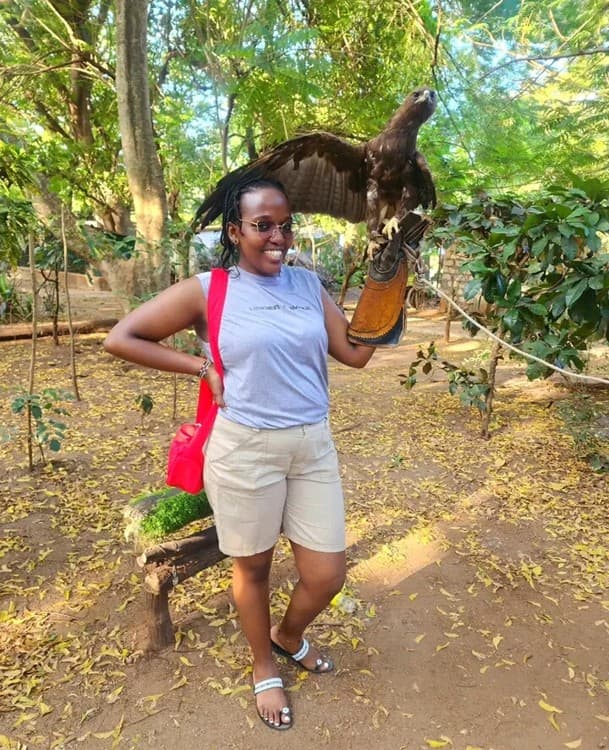 Malindi: Experience The Majestic Falconry Of Kenya | ®ExcursionMania - Image 9