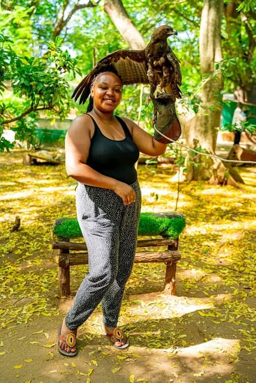 Malindi: Experience The Majestic Falconry Of Kenya | ®ExcursionMania - Image 11