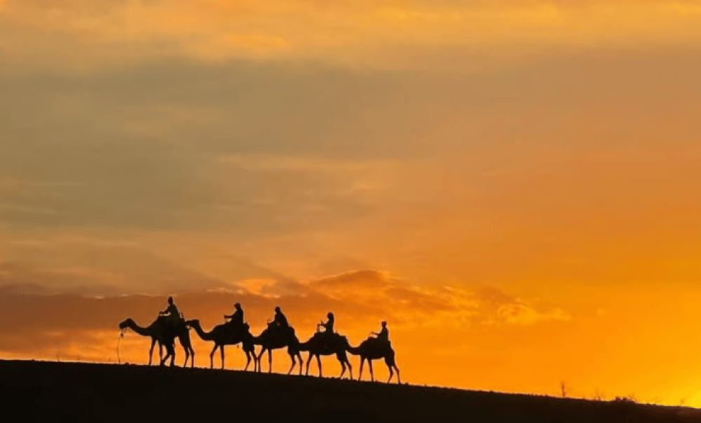 Marrakech Agafay Desert Dinner Berber Music and Fire Show | ®ExcursionMania - Image 7