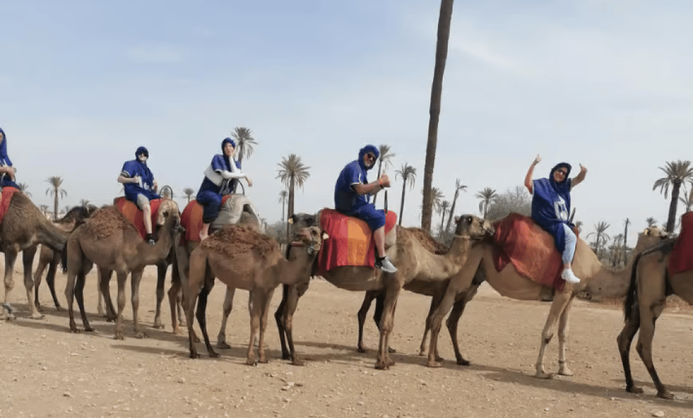 Marrakech Camel Ride In The Palmeraies & Discover Hidden Oasis | ®ExcursionMania - Image 4
