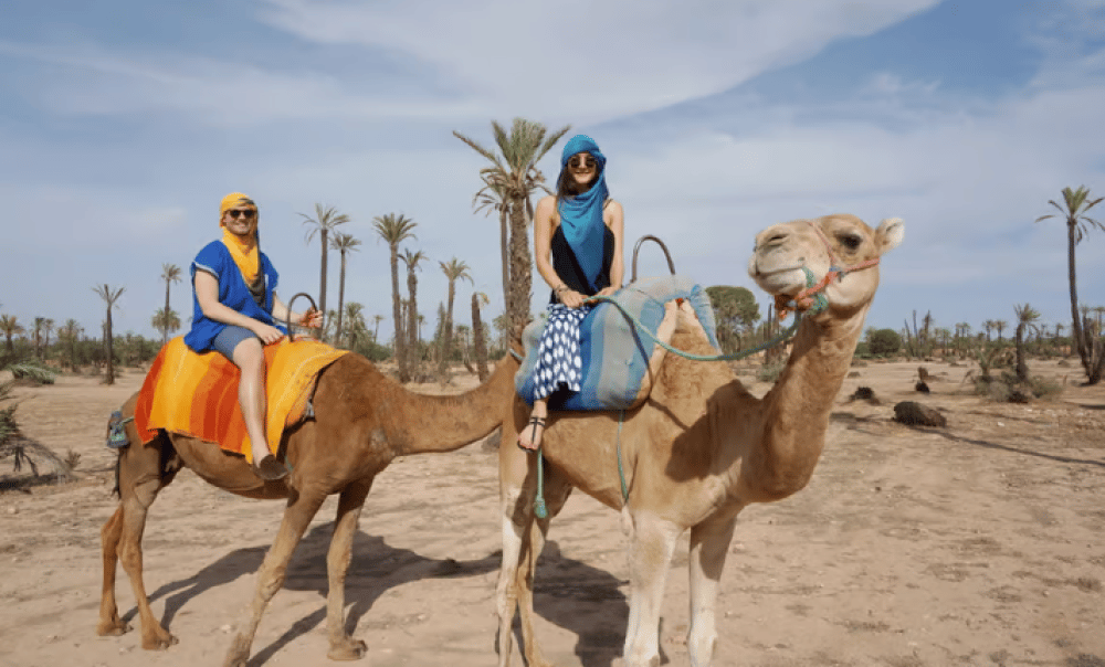 Marrakech Camel Ride In The Palmeraies & Discover Hidden Oasis | ®ExcursionMania - Image 6