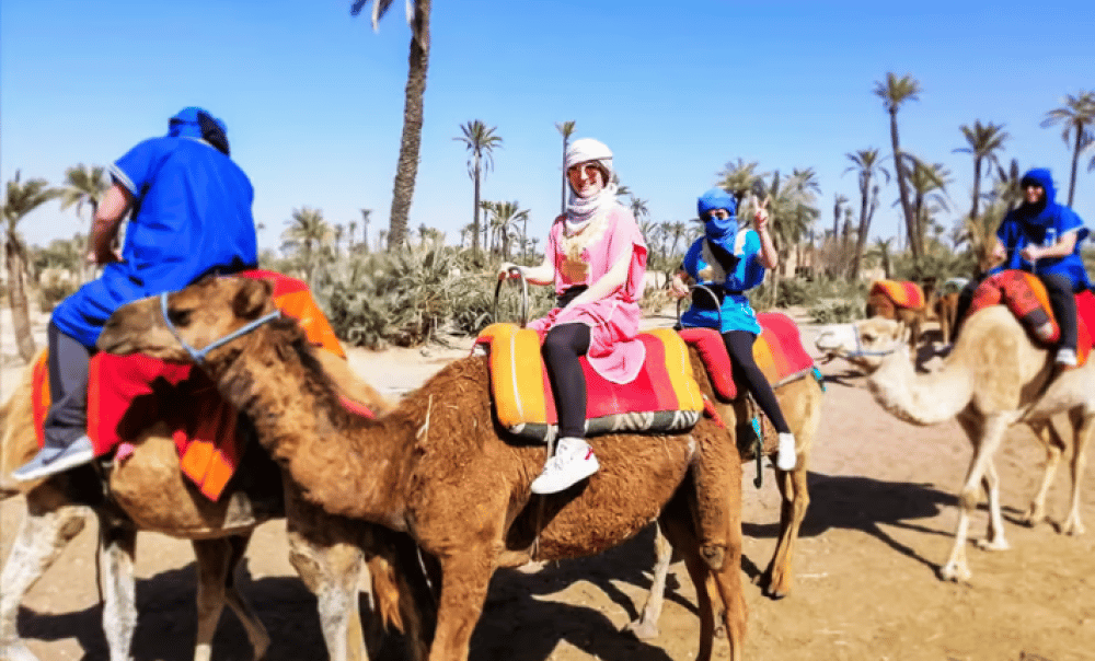 Marrakech Camel Ride In The Palmeraies & Discover Hidden Oasis | ®ExcursionMania - Image 3