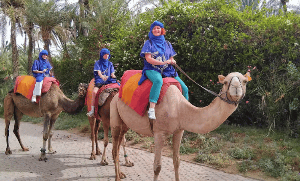 Marrakech Camel Ride In The Palmeraies & Discover Hidden Oasis | ®ExcursionMania - Image 5