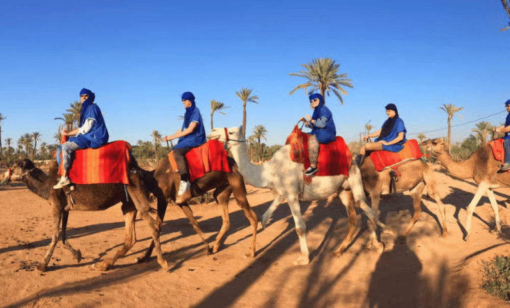 Marrakech Camel Ride In The Palmeraies & Discover Hidden Oasis | ®ExcursionMania - Image 12