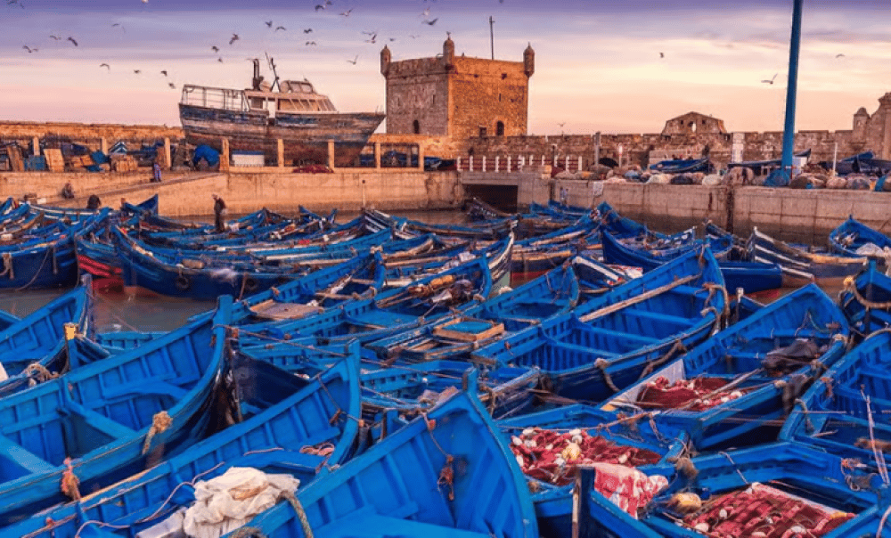 Essaouira Day Trip From Marrakech: Coastal Escape & Medina Discovery | ®ExcursionMania - Image 3