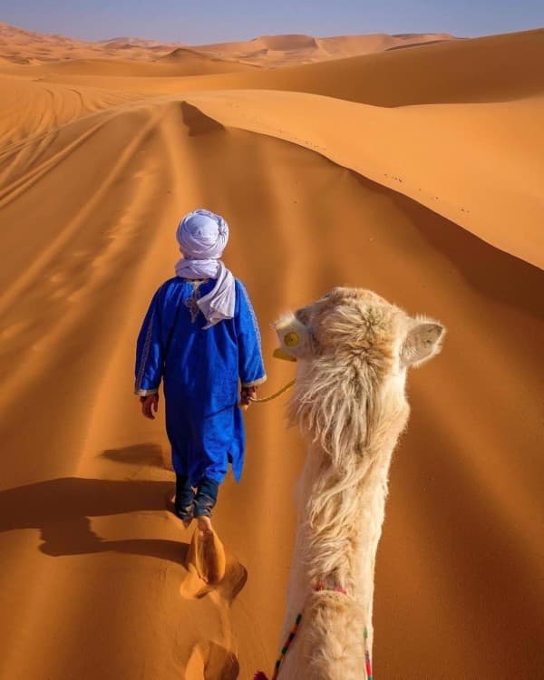 From Merzouga: Overnight In Luxury Camp With Dinner & Camel Ride | ®ExcursionMania - Image 11