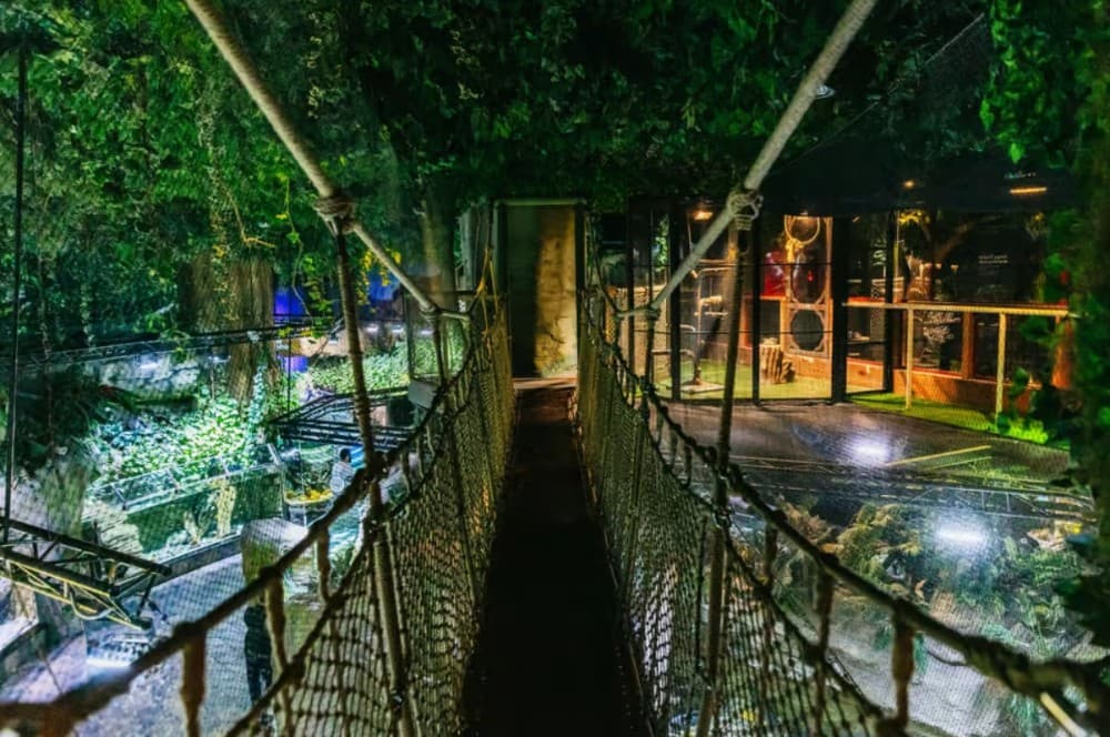 Dubai: Aquarium & Burj Khalifa Levels 124 & 125 Combo Ticket | ®ExcursionMania - Image 8