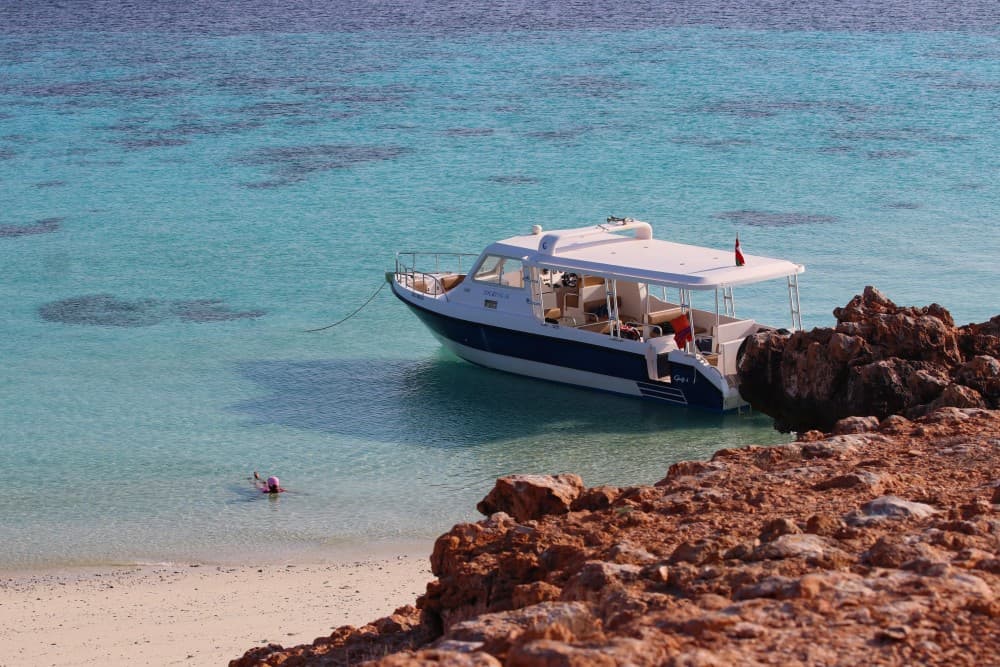 Muscat: Daymaniyat Island Snorkeling with Turtles Tour | ®ExcursionMania - Image 2