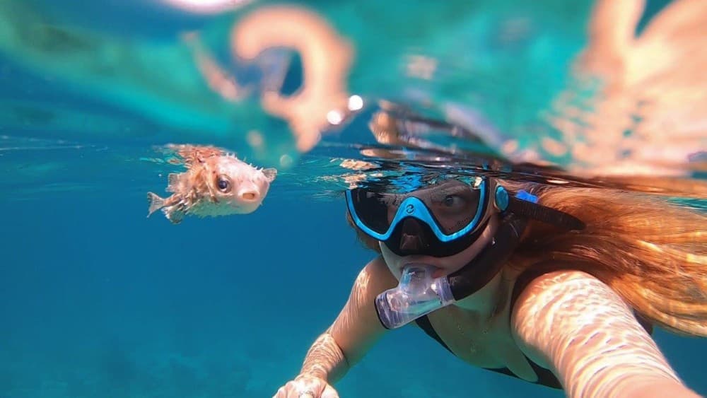 Muscat: Daymaniyat Island Snorkeling with Turtles Tour | ®ExcursionMania - Image 5