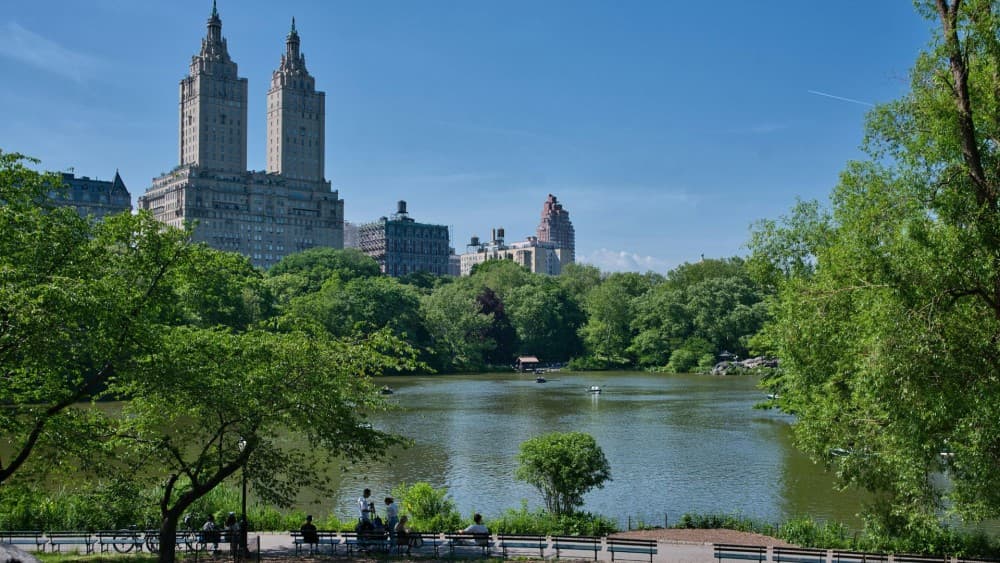 New York Walking Tour with a Local | ®ExcursionMania - Image 10