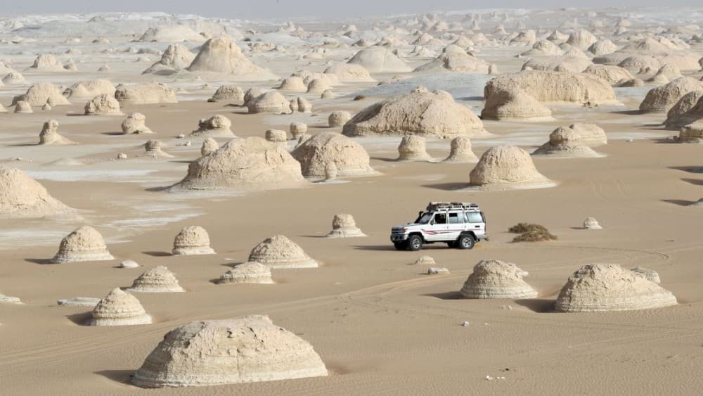 Overday Black and White Desert Day Tours from Cairo or Giza | ®ExcursionMania - Image 11