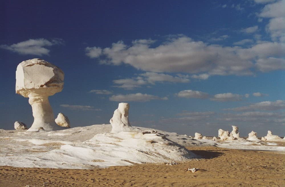 Day tour to White Desert and Bahariya Oasis Tour | ®ExcursionMania - Image 6