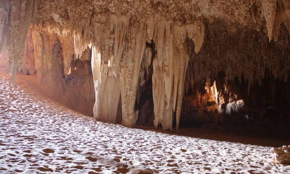 Safari White Desert & Camp the Djara Cave 3 Nights 4 Days Trip | ®ExcursionMania - Image 11