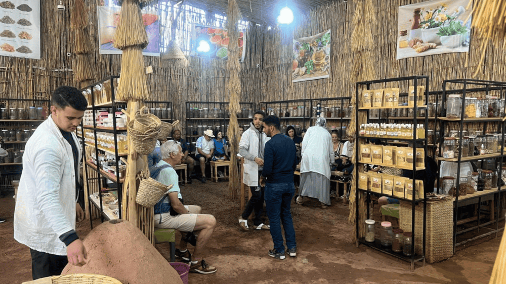 Marrakech: Atlas Mountains, Ourika Valley, Waterfall & Lunch | ®ExcursionMania - Image 5