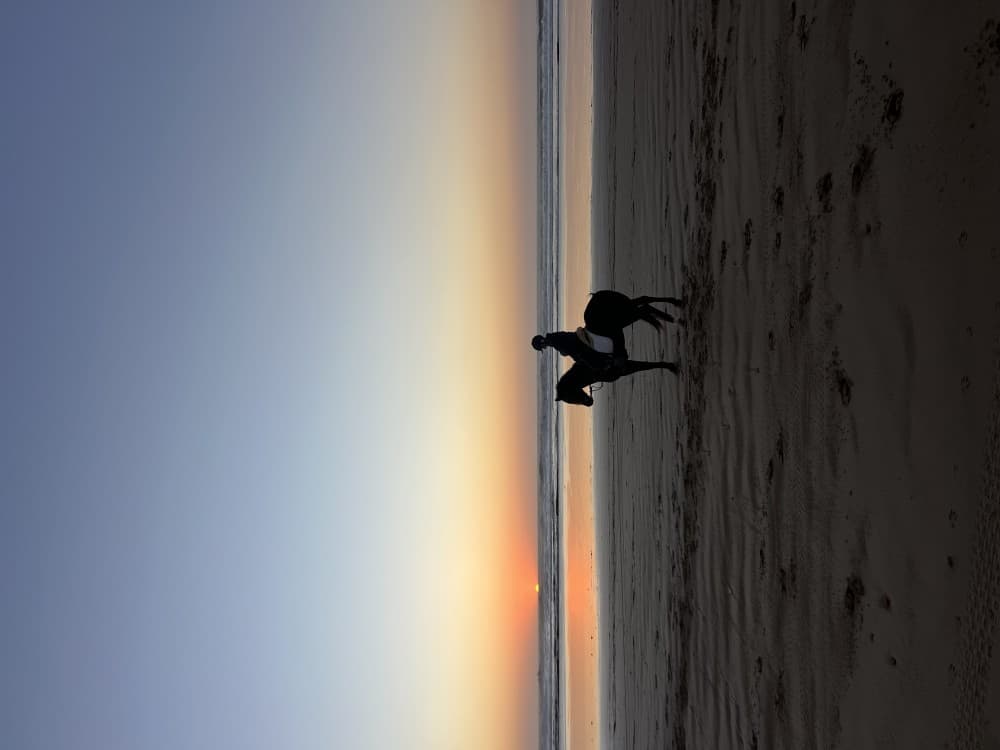 Sunset Beach Horse Ride in diabat Essaouira phooto shot & videos | ®ExcursionMania - Image 2