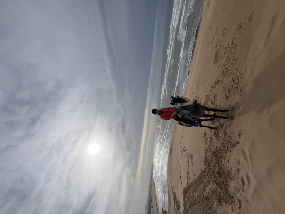 Sunset Beach Horse Ride in diabat Essaouira phooto shot & videos | ®ExcursionMania - Image 3