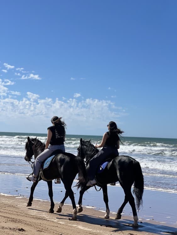 Sunset Beach Horse Ride in diabat Essaouira phooto shot & videos | ®ExcursionMania - Image 7