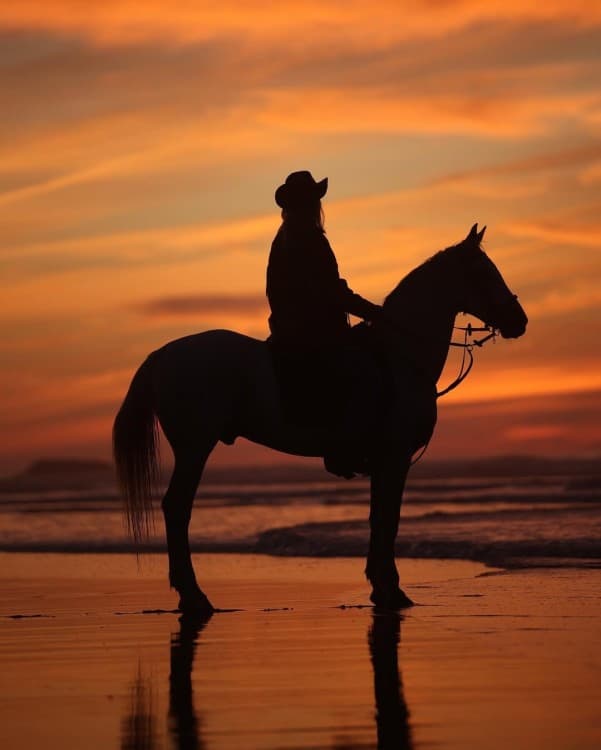 Sunset Beach Horse Ride in diabat Essaouira phooto shot & videos | ®ExcursionMania - Image 8