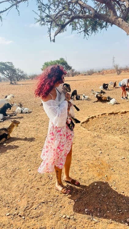 Essaouira Day Trip from Agadir – UNESCO Coast & Argan Goats | ®ExcursionMania - Image 4