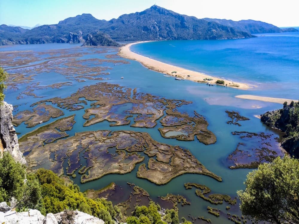 Sarigerme: Dalyan Turtle Beach Mud Bath & King Tombs Tour | ®ExcursionMania - Image 3