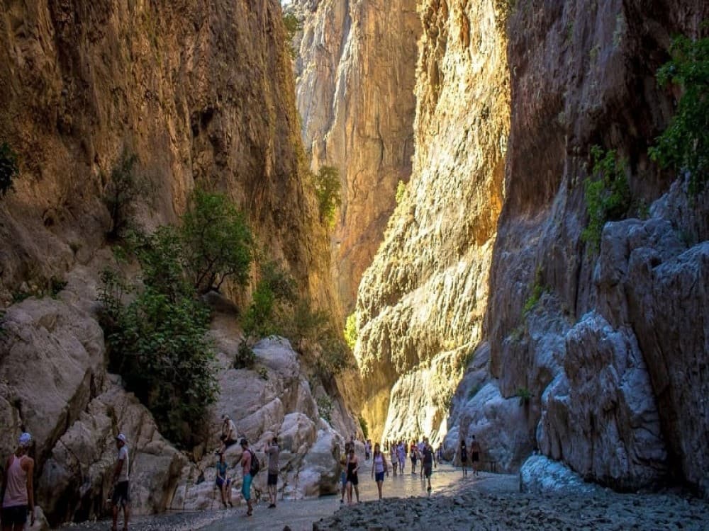 Kalkan Saklikent Gorge Tour: Discover the Hidden Wonders | ®ExcursionMania - Image 5
