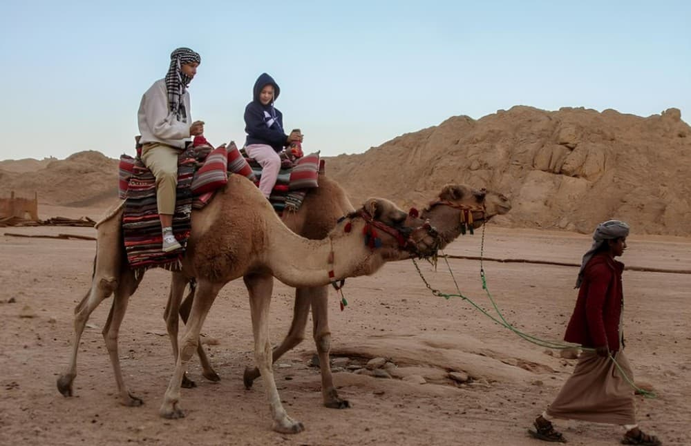 Viva Safari Quad, Spider Car, Dinner and Show | ®ExcursionMania - Image 5