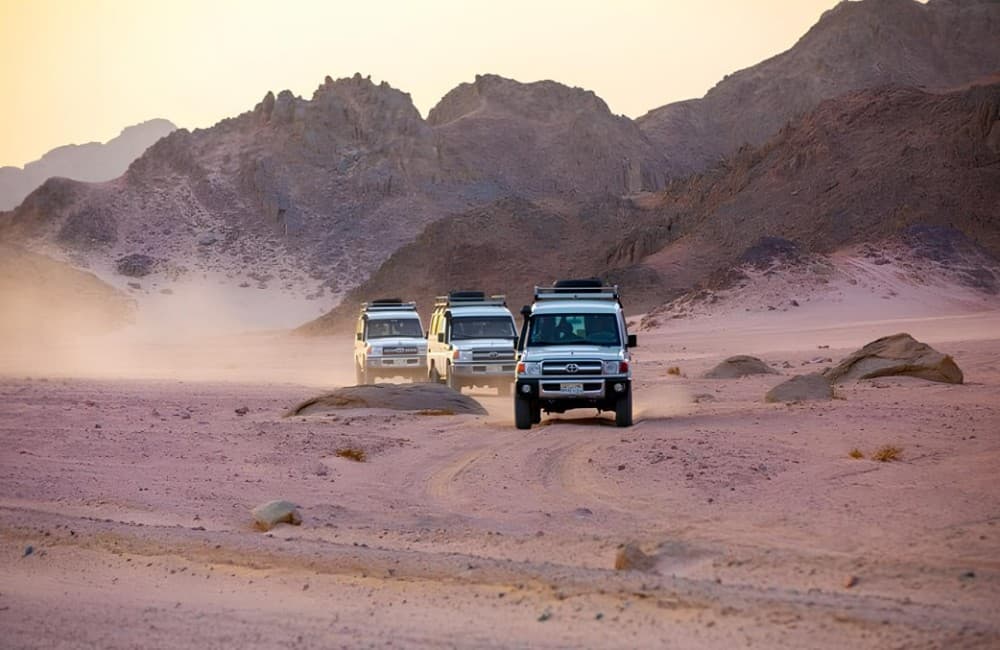 Viva Safari Quad, Spider Car, Dinner and Show | ®ExcursionMania - Image 6