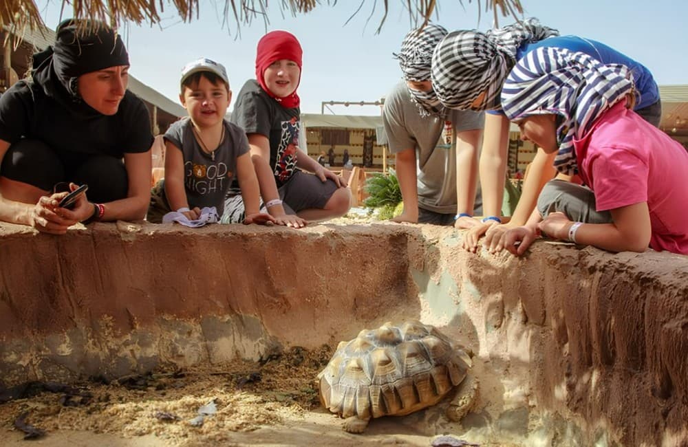 Viva Safari Quad, Spider Car, Dinner and Show | ®ExcursionMania - Image 8