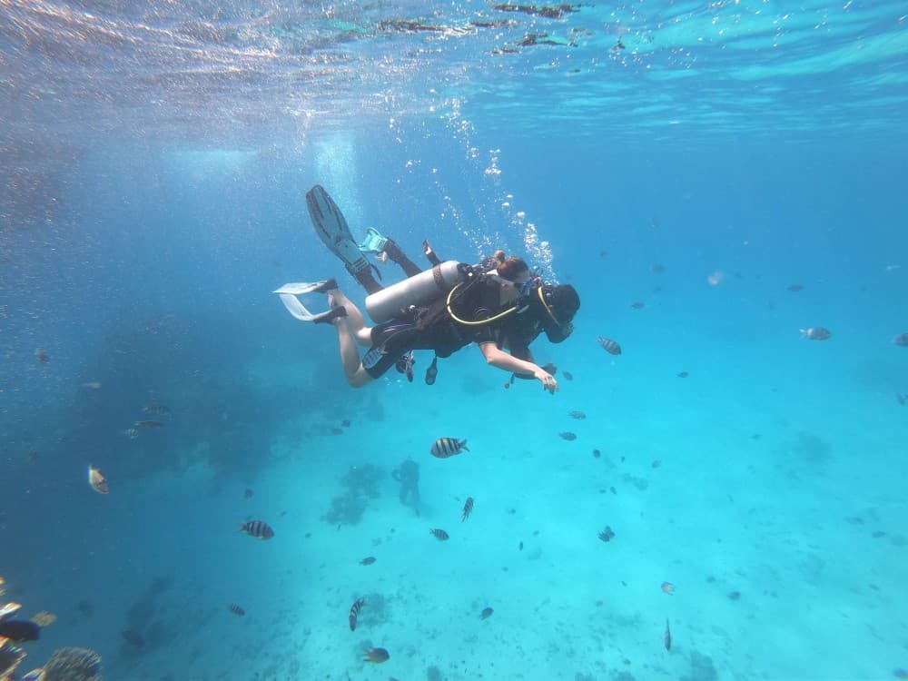 Hurghada: Scuba Diving for Beginners & Certified Divers | ®ExcursionMania - Image 4