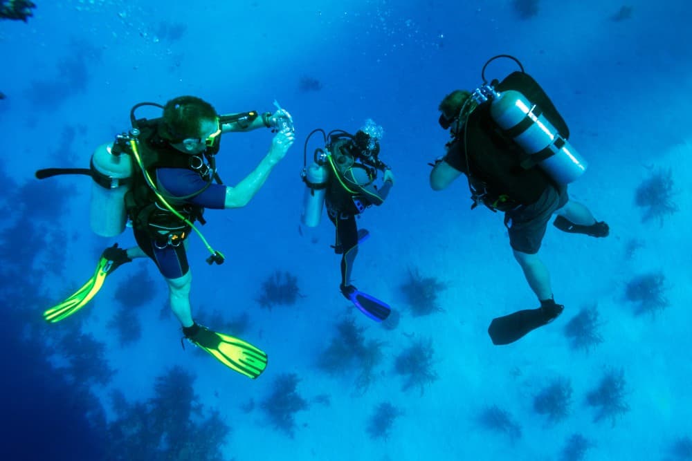 Hurghada: Scuba Diving for Beginners & Certified Divers | ®ExcursionMania - Image 5