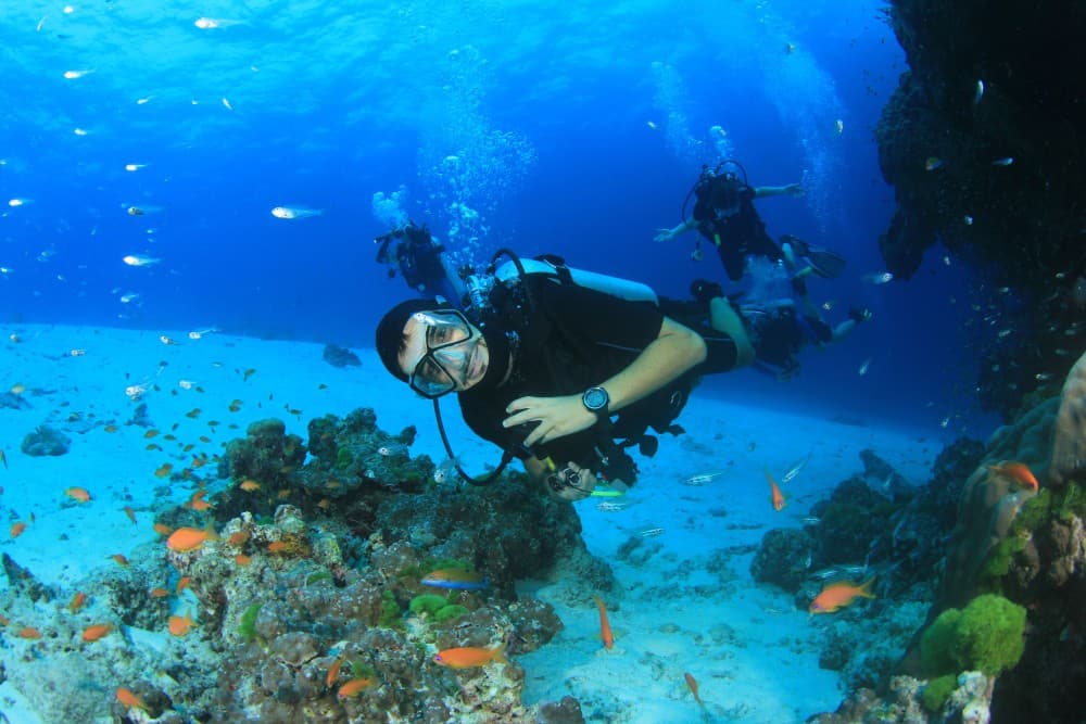 Hurghada: Scuba Diving for Beginners & Certified Divers | ®ExcursionMania - Image 6