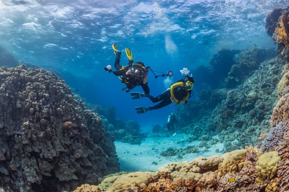 Hurghada: Scuba Diving for Beginners & Certified Divers | ®ExcursionMania - Image 9