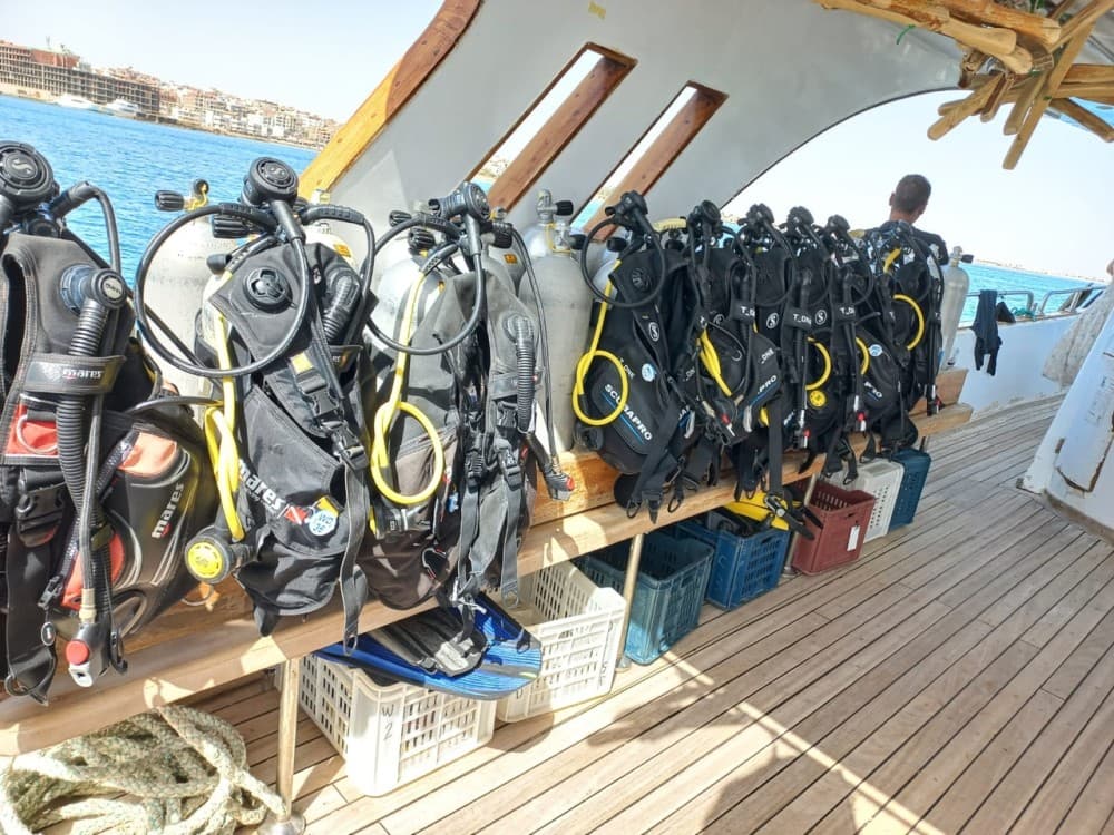 Hurghada: Scuba Diving for Beginners & Certified Divers | ®ExcursionMania - Image 10