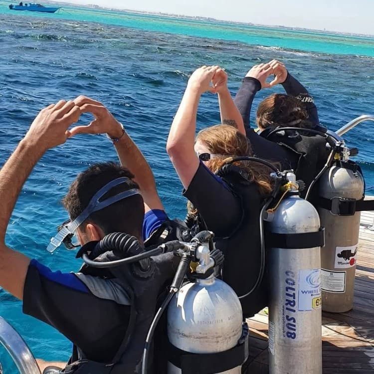 Hurghada: Scuba Diving for Beginners & Certified Divers | ®ExcursionMania - Image 12